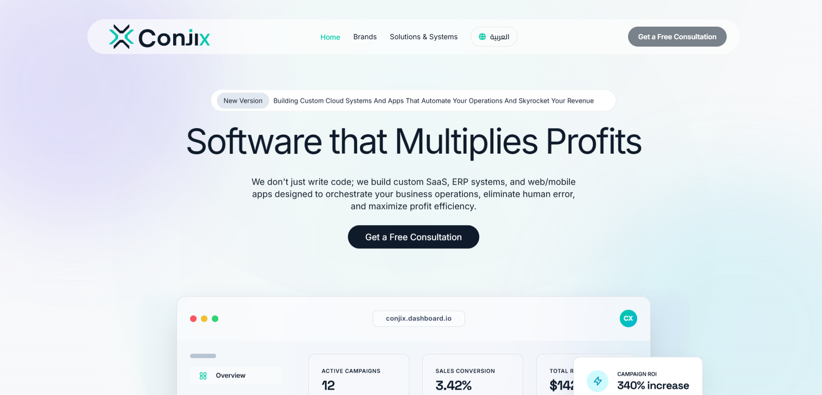 Software Development & IT Solutions Agency Website